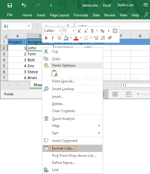 How To Hide Text In Excel Cells Password Recovery