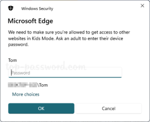 How to Enable Kids Mode in Microsoft Edge | Password Recovery